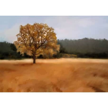 Golden Fields Series 2