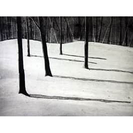 A Winters Day