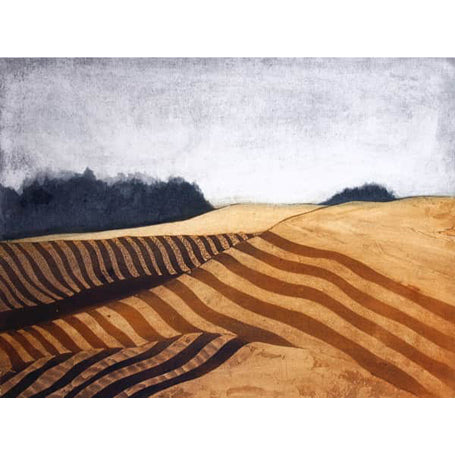 Field