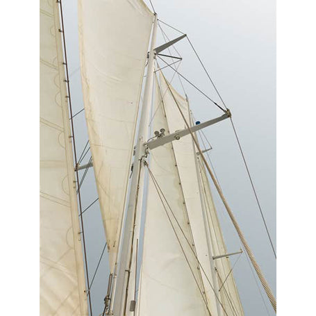 Race Week Series 2