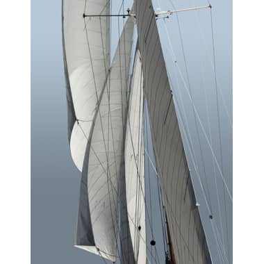 Race Week 6