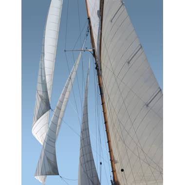 Race Week 5