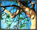 Arbutus Galliano