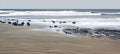 Beach Scape 1