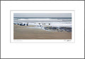 Beach Scape 1