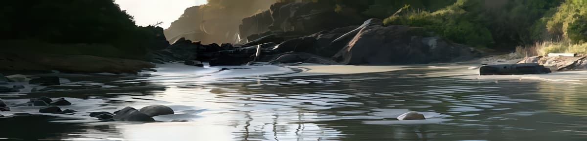 Cox Bay Tofino