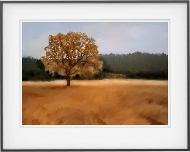 Golden Fields Series 2