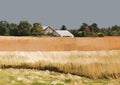 Golden Fields Series 3