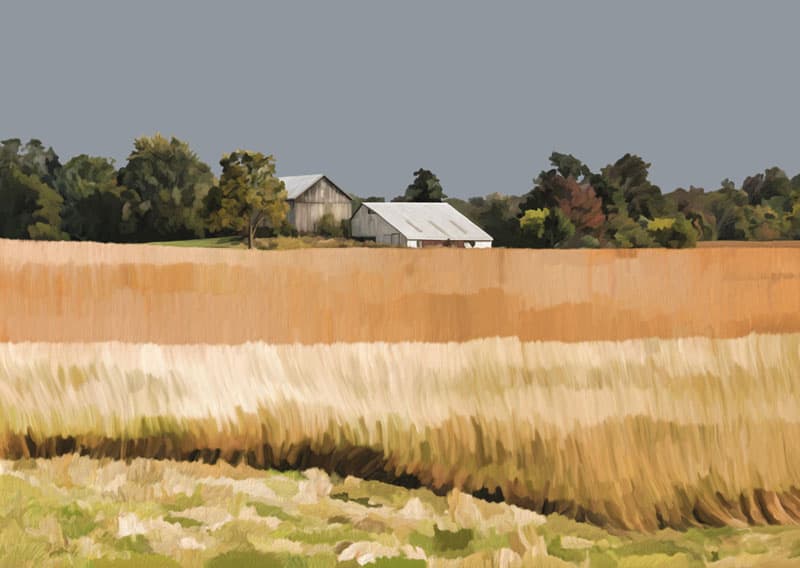 Golden Fields Series 3