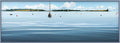 Meisners Island Chester