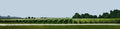 Niagara Vineyard Series  U