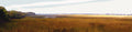 Point Pelee  A