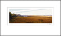 Point Pelee A
