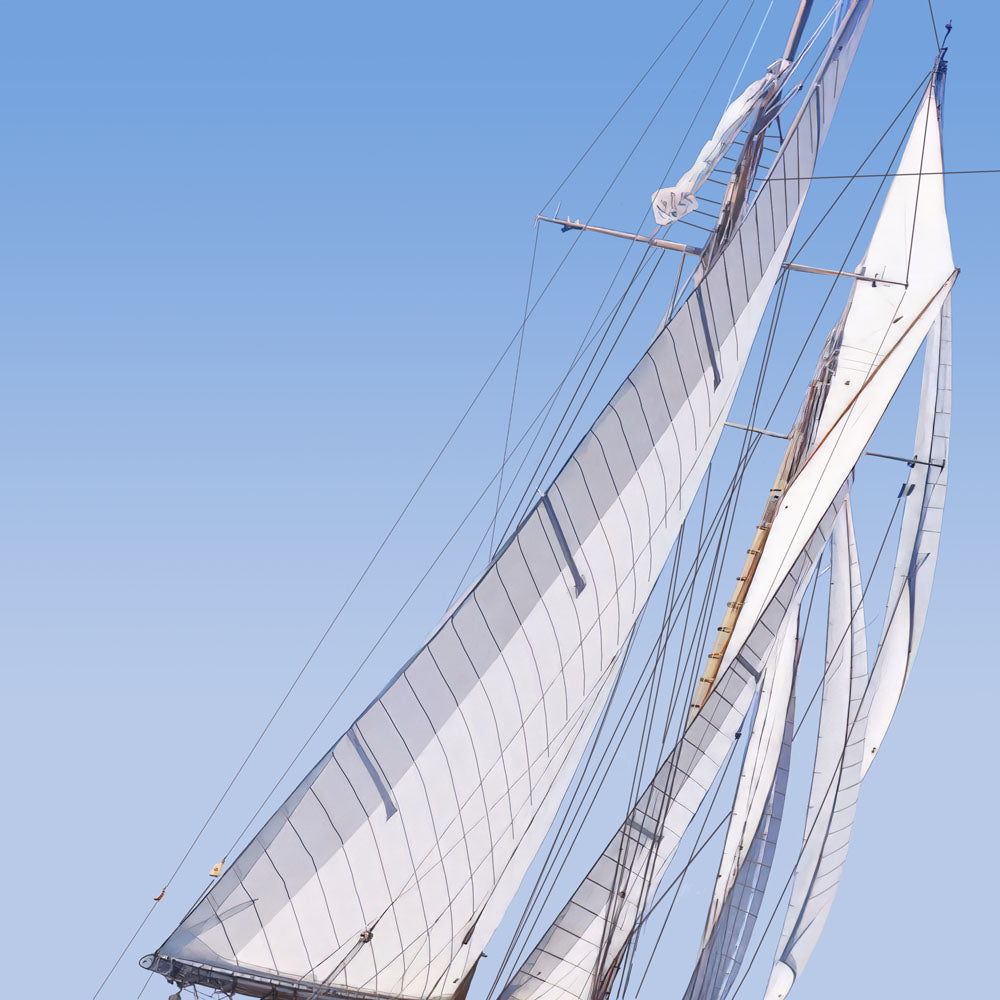 Race Week Series 8