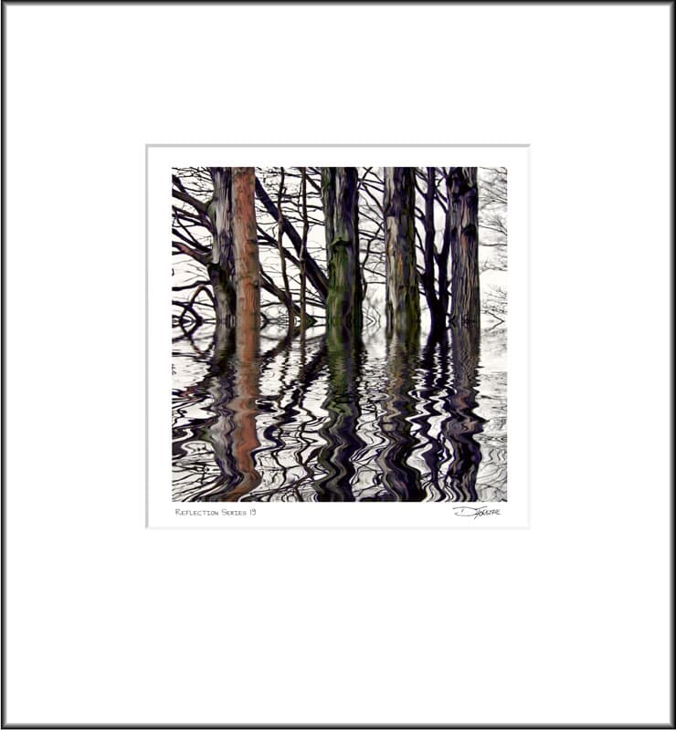 Reflection Series 19
