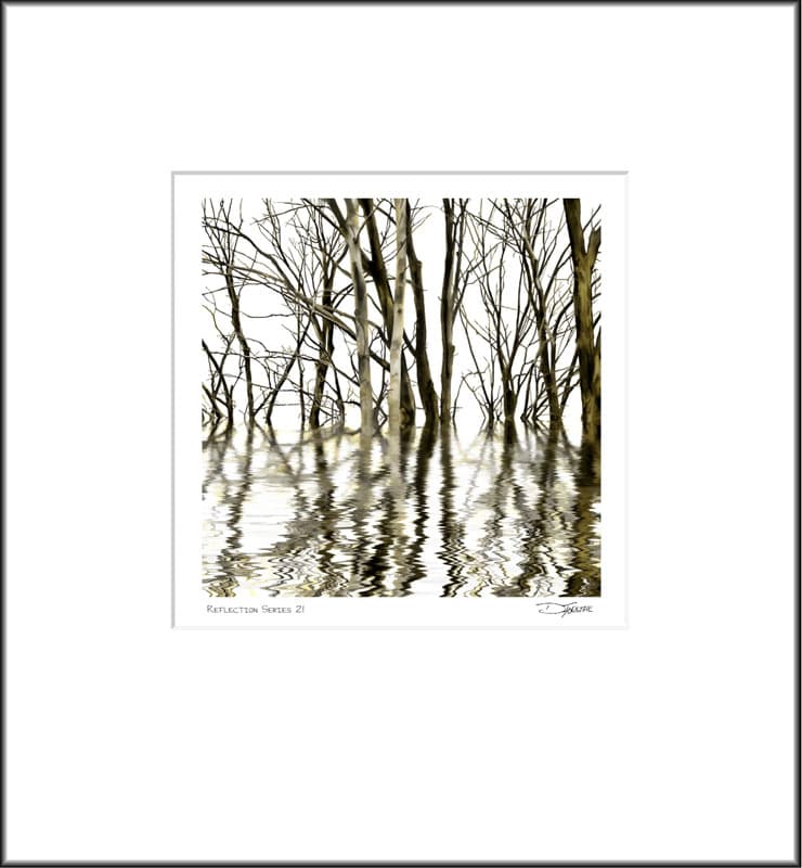 Reflection Series 21