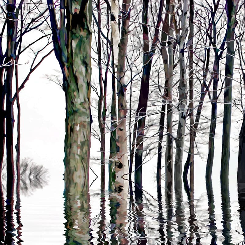 Reflection Series  #24