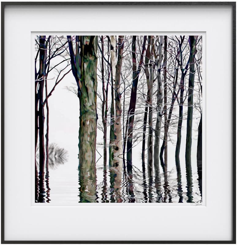 Reflection Series  #24