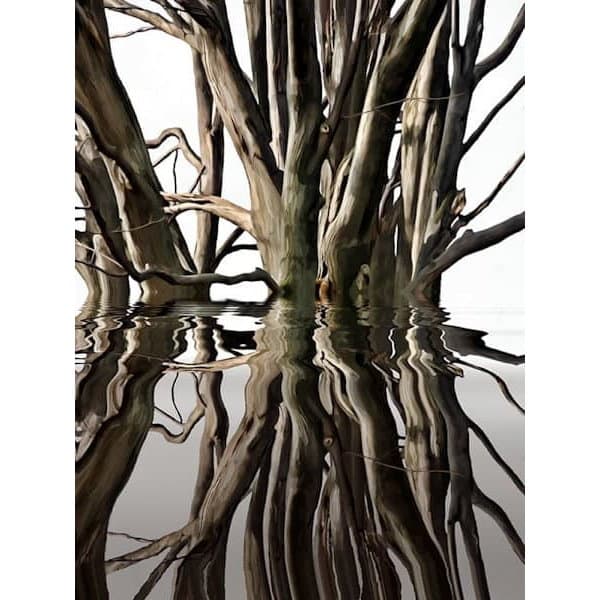 Reflection Series A