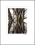 Reflection Series A
