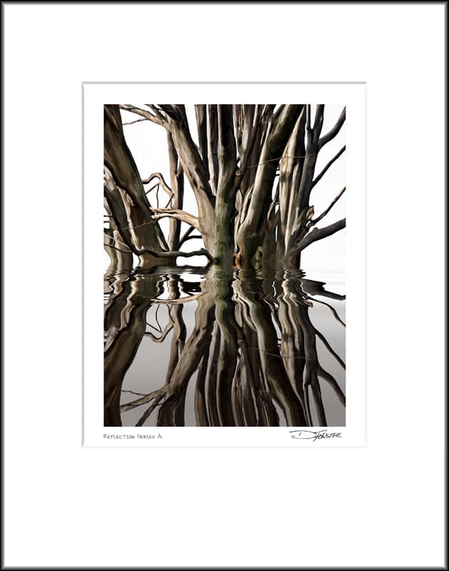 Reflection Series A