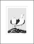 Two Gulls