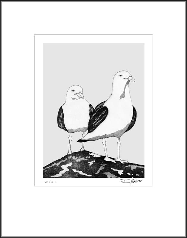 Two Gulls