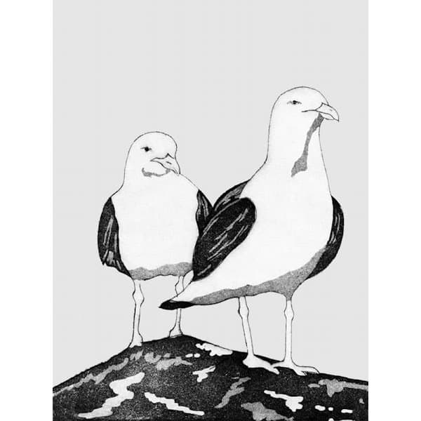 Two Gulls