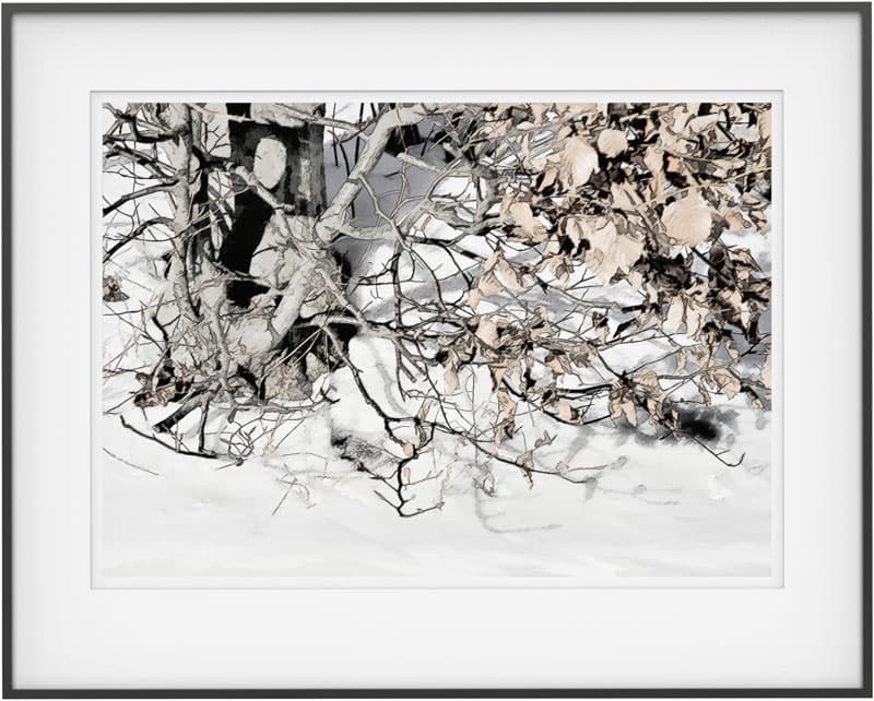Winter Snow